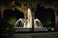 DSC_1065