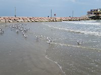 20171010 145711  JKJK'«\Ó �O �����@����µk������| �����Í�£��«����Ó�N����´��h}ÿÿíÿÿÂÿÿ´;�>��ò��KCÿÿÃ¶���"�"�"�"�"���������������"�"��"��������������������"�1"�����������������������������1"�"�`���P3�P3�P3�P3�P3�P3�@"�@"�����������������������������"�������������������������������������"����������������������� �����������������������������������������������������������������������������������������������������������������������������������������������°�¸ÿ��� ���������ï�������������������������������������������������������������d���´�������������:�Ùÿ���r�Üÿ���r�Üÿ���r�Üÿ���r�Üÿ���������������V=�v´����������������������FAFA�¢�´�0����FAFAe�������o-{#Vm�4 �xû/ds�5�/àey�£�h+äte�óé�ß/þo7
�Õg�ú+*��ÿ/²Ü;�������������Y¸�ÿ/²Ü;�Y¸�ÿ/²Ü;�Y¸�ÿ/²Ü;������������������������������������������������������������������������������������������������������������FAFA��Â Z	���×����f��ÎÓ���T�����Fl���(��������| ������������������3����������������¶P���������������������������������à�ÿFAFA��������������������������������������®®®®F��| �����Â ��½������	»���¦	��e	��&������������������������������������������������������������������������.��t&��������������������¾ �������������������������������������������������������������i���&���V�������V�����ì�������������� ���(�����������������-	��| ��{�����������������������������������e���s���2���	���ÿÿÿ|������������$�������Í �� ��B������B���������B������P02011165F16QLGB00SB51FF2FDDFA4