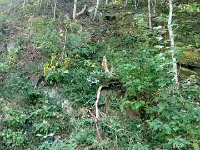 IMG 20171013 132225484 HDR