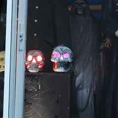 DSC_5593