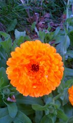IMAG0404