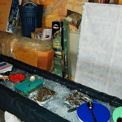 DSC_6620