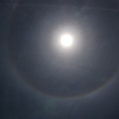 DSC_6639