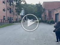 VID-20241013-WA0010