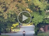 VID-20241013-WA0028