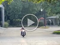 VID-20241013-WA0051
