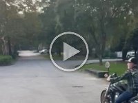 VID-20241013-WA0072