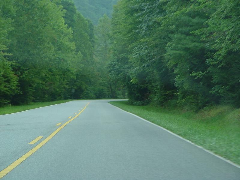 DSC03028