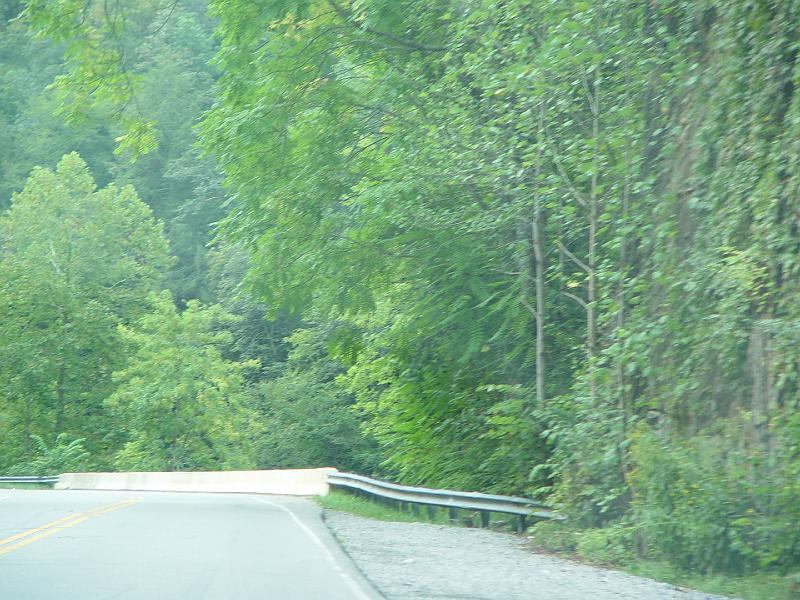 DSC03029