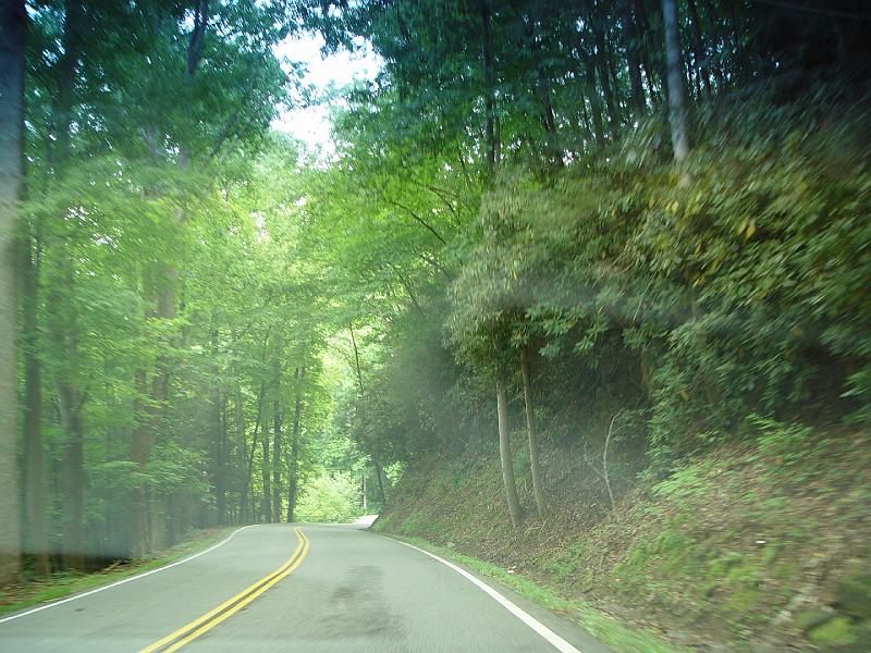 DSC03051