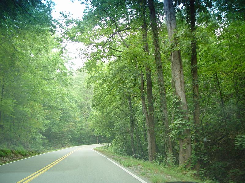 DSC03059