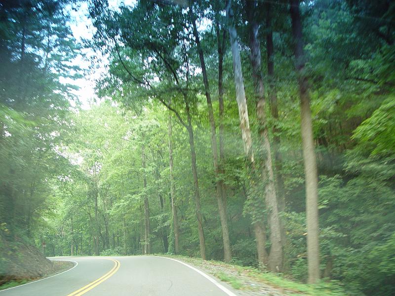 DSC03060