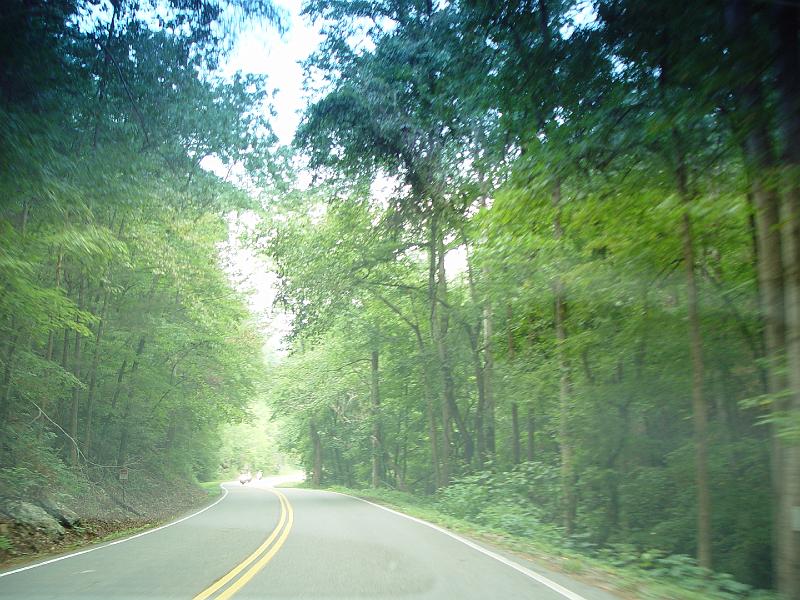 DSC03061