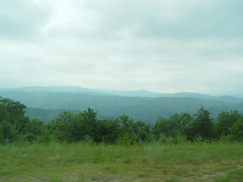 DSC03065