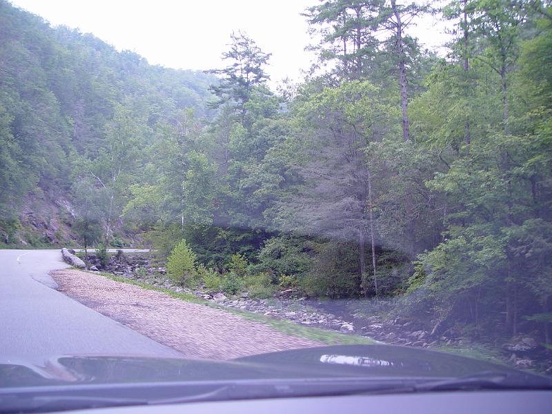 DSC03081