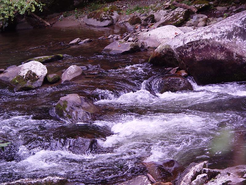 DSC03084