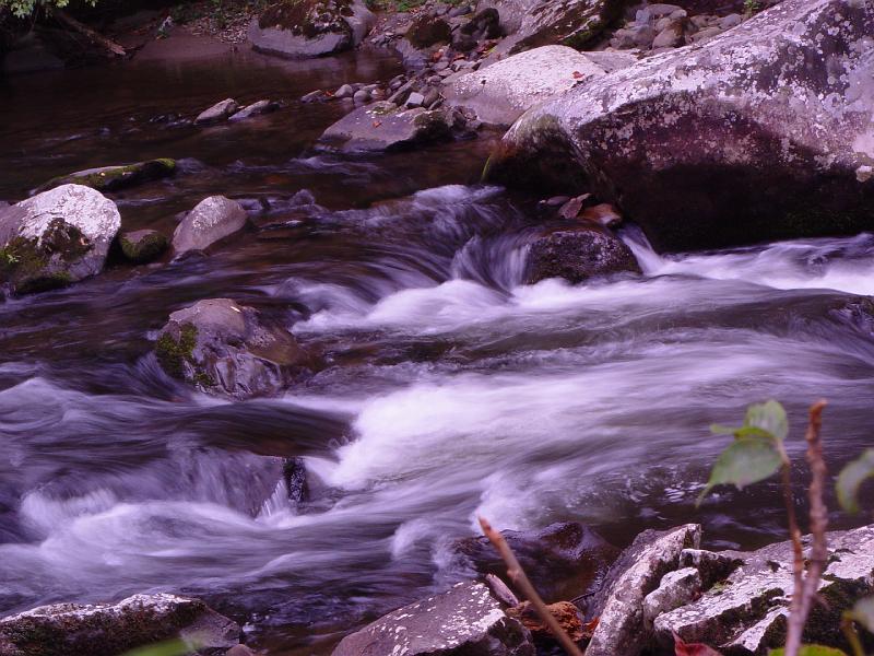 DSC03085