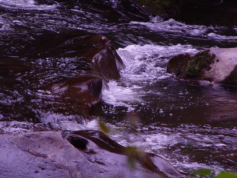 DSC03092