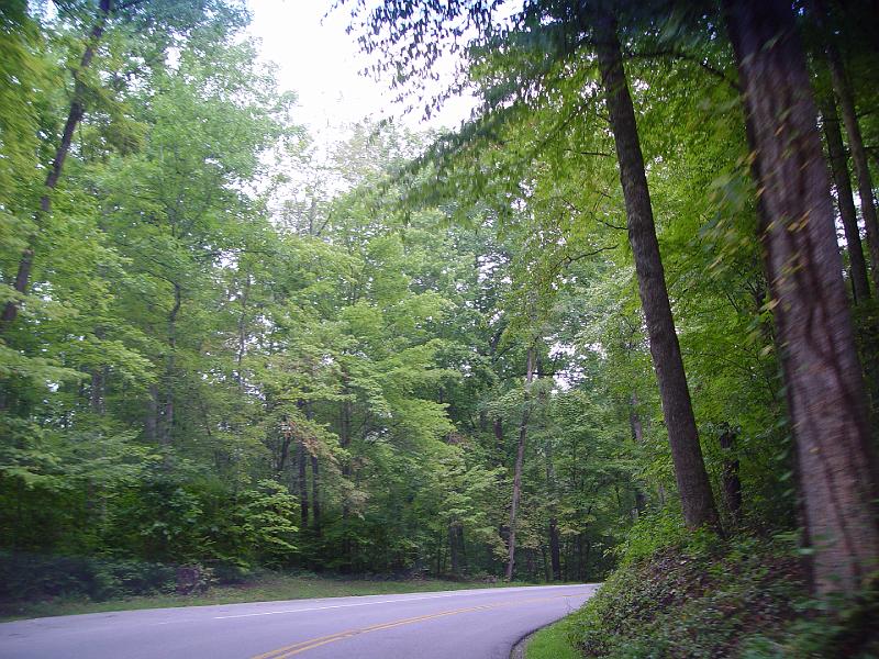 DSC03100