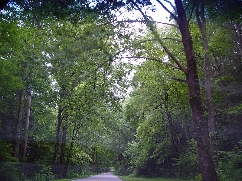 DSC03101