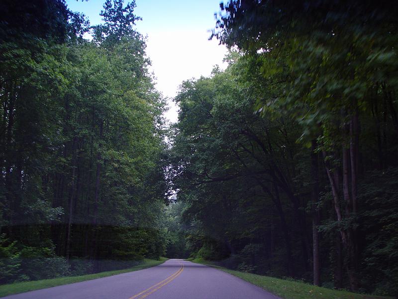 DSC03109