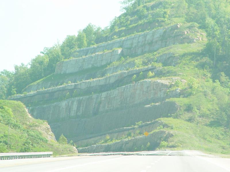 DSC03242