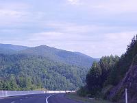DSC03234