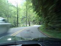 picture0003