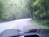 picture0004