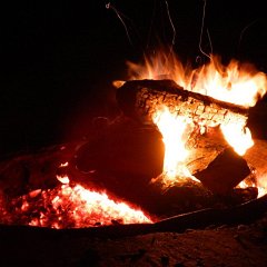 DSCN0868