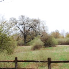 DSC_4814