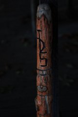DSC_4248
