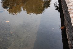 DSC_5115