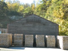 DSCN3369