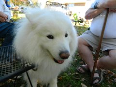 DSCN3407