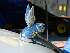 DSCN3409