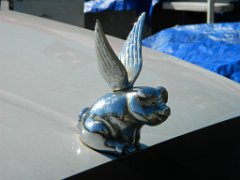 DSCN3410