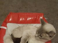 20150916 195741
