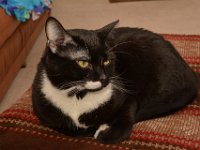 DSC 8491