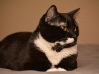 DSC 9394
