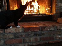 IMG 20160109 150305427