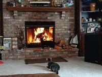 IMG 20160109 150421574
