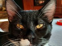 IMG 20160212 095758
