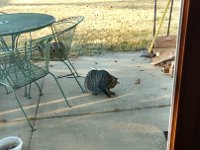 IMG 20160311 074132570 HDR