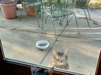 IMG 20160311 074515222 HDR