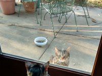 IMG 20160311 074516883 HDR