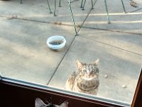 IMG 20160311 074519505 HDR