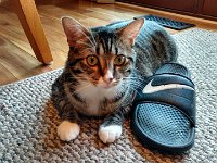IMG 20160619 091031115 HDR