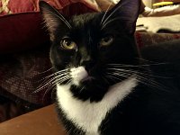 IMG 20160711 220136172 HDR