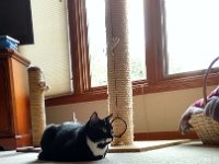 IMG 20160728 163604931 HDR